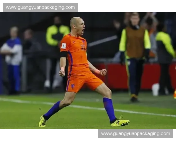 罗本世界杯巅峰表现回顾与精彩瞬间全面解析